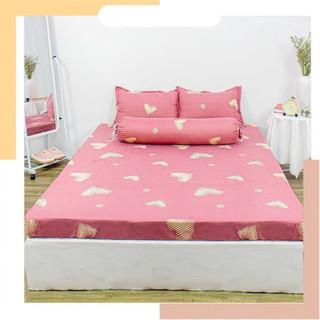 Bộ Ga Gối Cotton Poly Mẫu ẾCH XANH