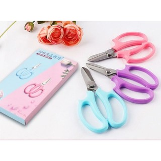 1 cái kéo cắt cành FT