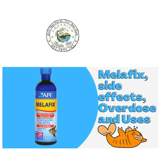 Api melafix - dung dịch kháng khuẩn cao cấp - 473ml 237ml