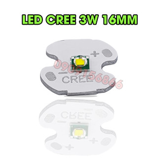 Bóng đèn pin led Cree  3v - 4v
