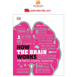Sách - Bộ How - Hiểu hết về (NXB DK) - Nhã Nam