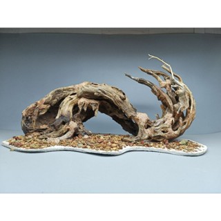 [ Mẫu Mới] Layout Chử "S" dành cho bể cá cảnh, bể thủy sinh. Lũa San Đá. phần đế đã trải sỏi