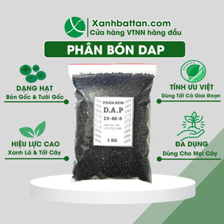 Phân DAP bổ sung dinh dưỡng, làm xanh lá, kích chồi cho hoa kiểng, rau sạch 1 KG