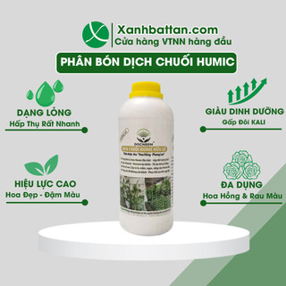 Dịch Chuối Chín Humic Lên men Kích Mầm Chồi, Kích Rễ, kích Kie, Phục Hồi Và Chống Suy Cây
