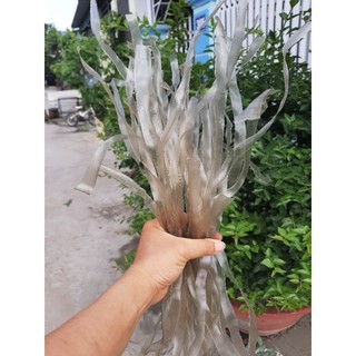 1kg miến dong thái tay sợi to Điện Biên