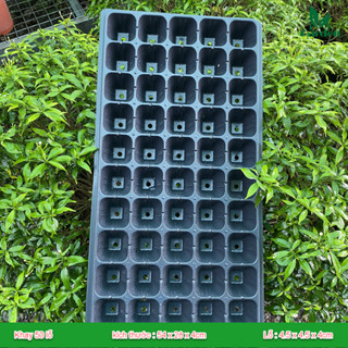 Khay ươm hạt giống 32, 50, 72, 105 lỗ ( Loại Dày 120gram )