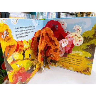 BỘ QUÀ TẶNG USBORNE POP UP SEASONS ( Nhập Khẩu)