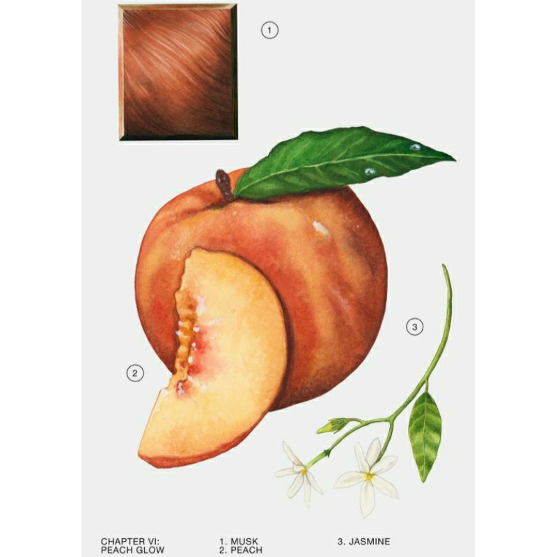 NƯỚC HOA ZARA PEACH GLOW