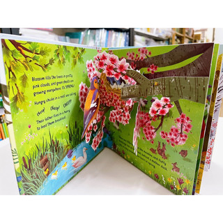 BỘ QUÀ TẶNG USBORNE POP UP SEASONS ( Nhập Khẩu)
