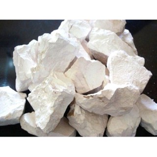 10 KÝ VÔI CỦ, VÔI CỤC, VÔI ĂN TRẦU