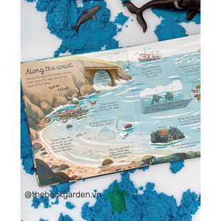 BỘ QUÀ TẶNG USBORNE LOOK INSIDE SEAS AND OCEANS