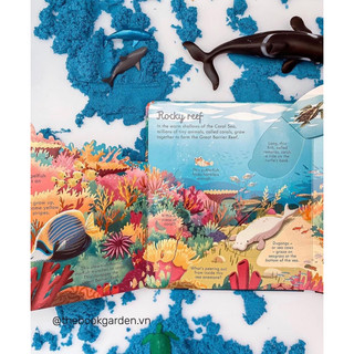 BỘ QUÀ TẶNG USBORNE LOOK INSIDE SEAS AND OCEANS