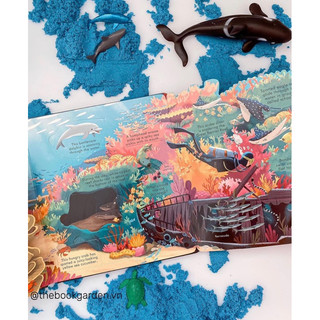 BỘ QUÀ TẶNG USBORNE LOOK INSIDE SEAS AND OCEANS