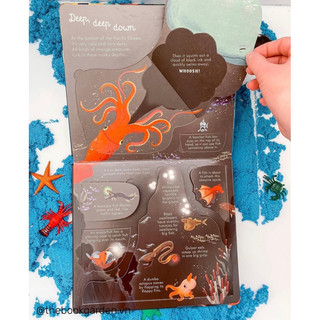 BỘ QUÀ TẶNG USBORNE LOOK INSIDE SEAS AND OCEANS