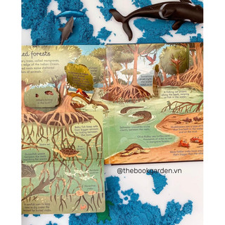 BỘ QUÀ TẶNG USBORNE LOOK INSIDE SEAS AND OCEANS
