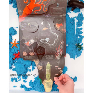 BỘ QUÀ TẶNG USBORNE LOOK INSIDE SEAS AND OCEANS