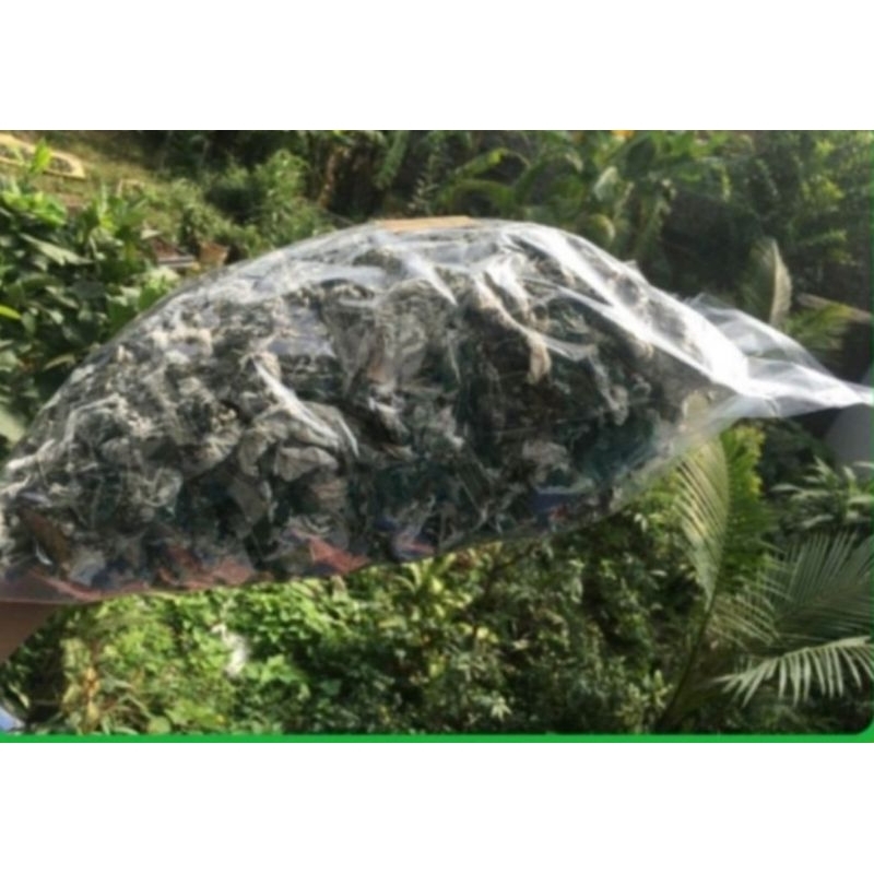 Lá Gai Khô, làm bánh gai bánh ít, 1 ký