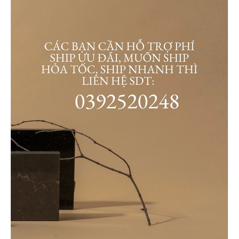Ghế gỗ Wicker lưng mây nhập khẩu cao cấp