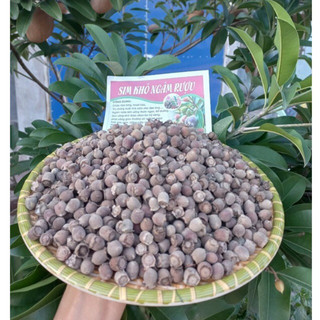 Sim rừng khô ngâm rượu hỗ trợ tăng cường sinh lý, giảm đau nhức xương khớp túi 1kg