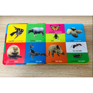 Sách - 101 First Words - Animals (101 Từ Đầu Tiên - Động Vật - Song Ngữ Anh Việt)