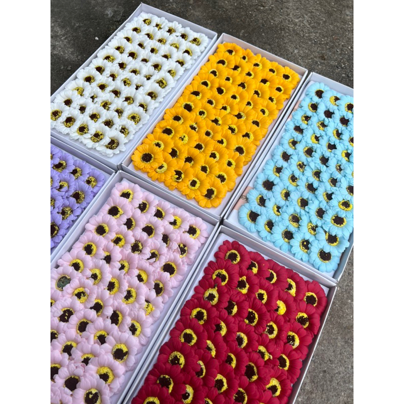 Hoa sáp cúc hoạ mi