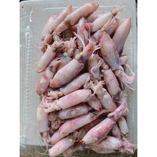 🦑 Mực hấp thuyền - Hộp 500gr giao hoả tốc HCM