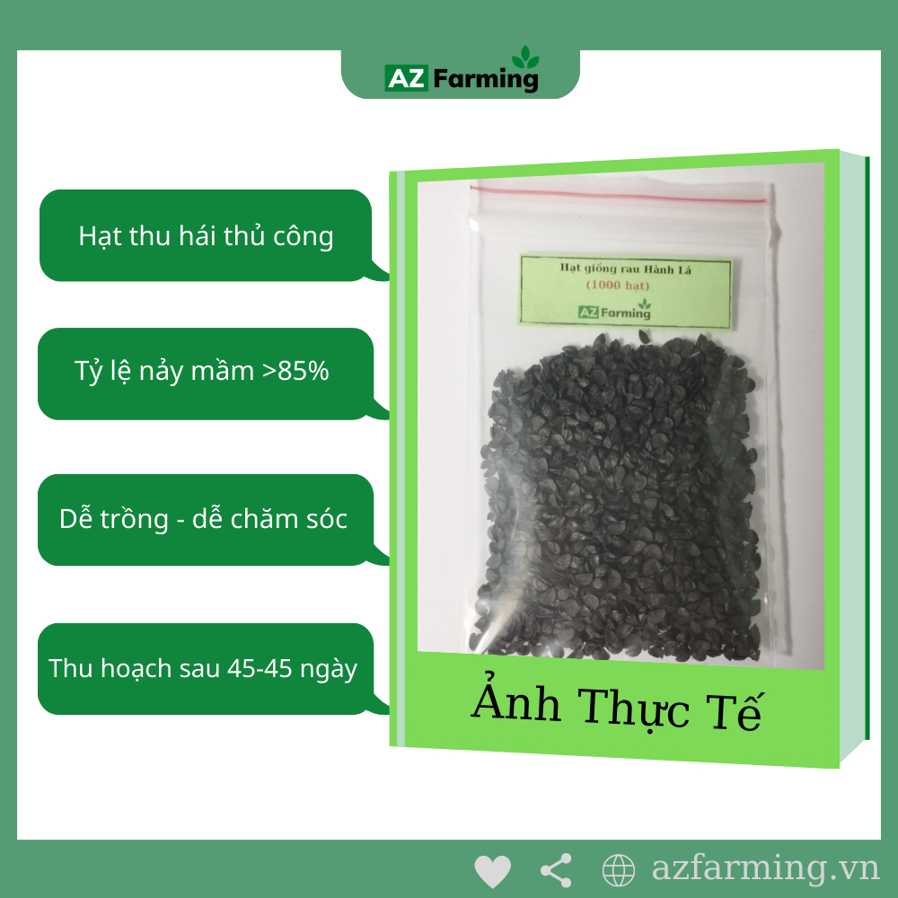 Hạt Giống Hành Lá - gói 1000 Hạt - AZ Farming