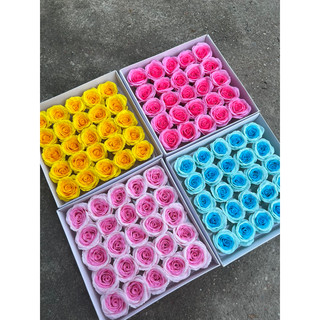 hoa hồng sáp ecuador