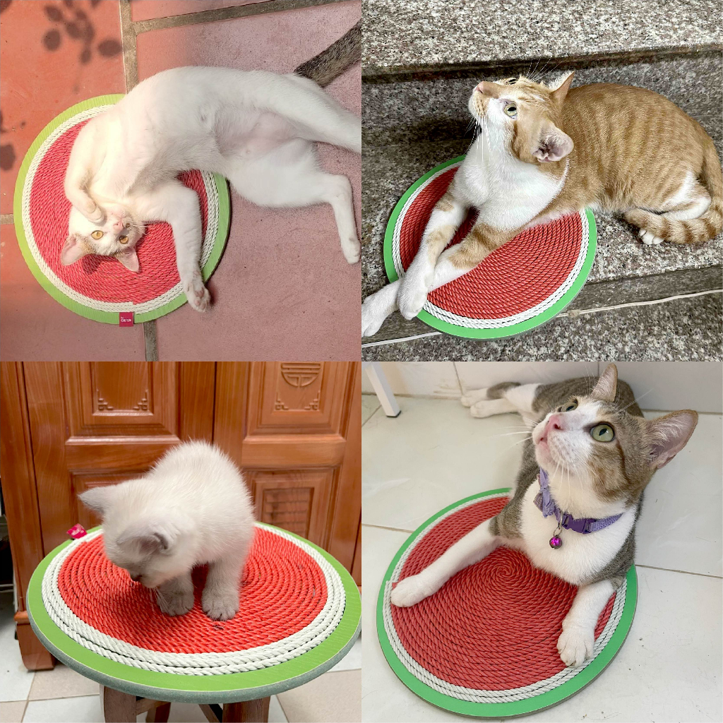 Bàn cào móng cho mèo thừng tái sinh siêu bền sạch nhà - BCM Dưa hấu  29*29 cm