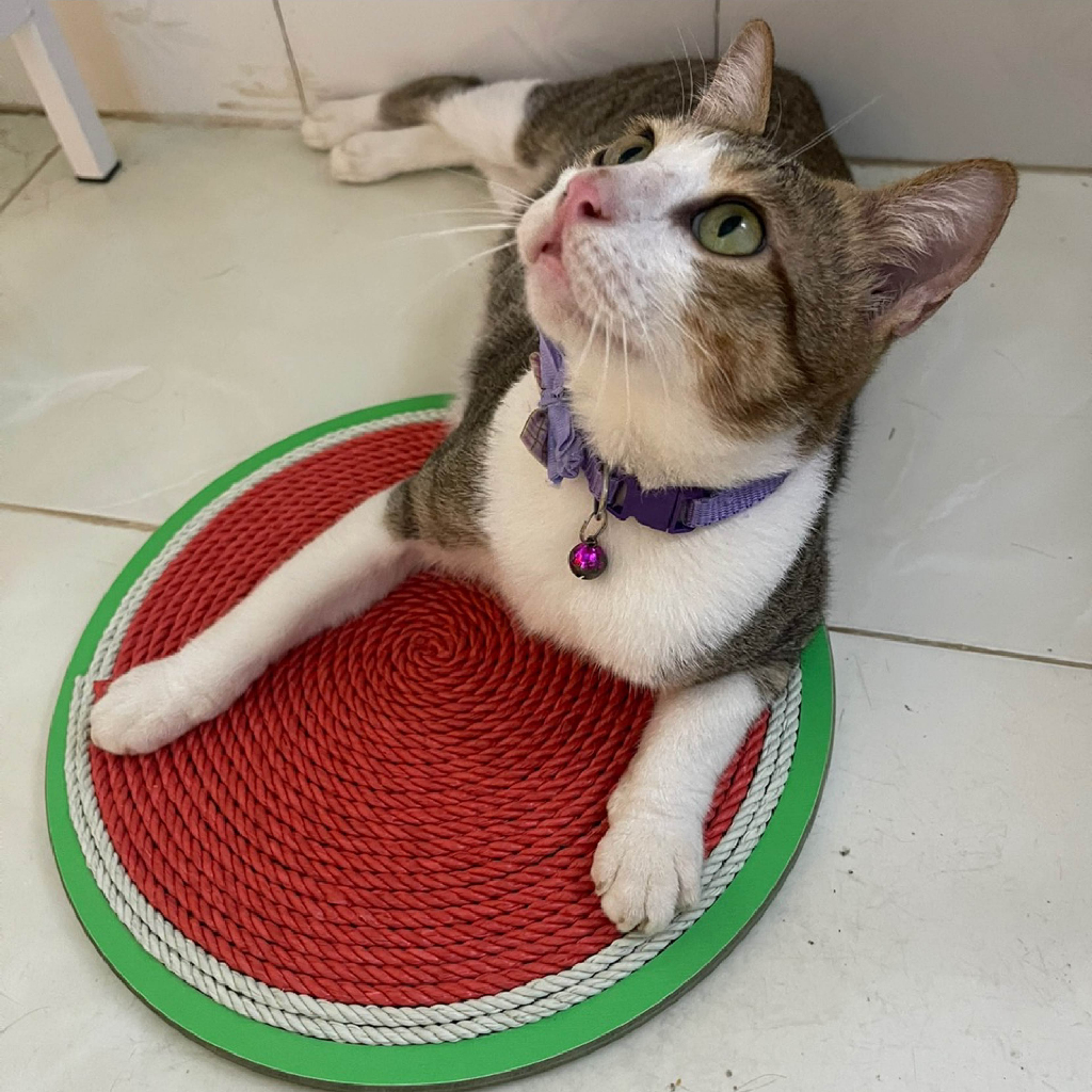 Bàn cào móng cho mèo thừng tái sinh siêu bền sạch nhà - BCM Dưa hấu  29*29 cm