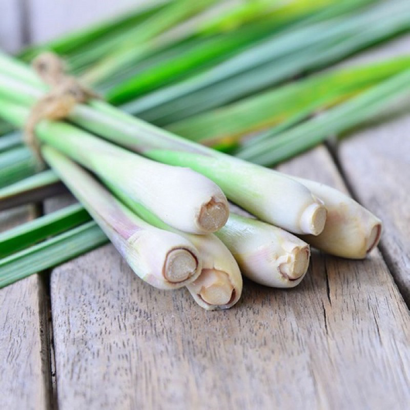 1kg Củ Sả nhà trồng