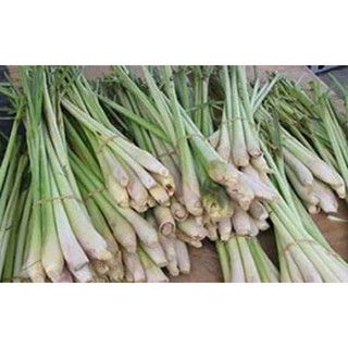 1kg Củ Sả nhà trồng
