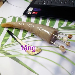 Bọ cạp hoa khế sừng đen 1