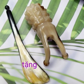Ốc sên thân dứa