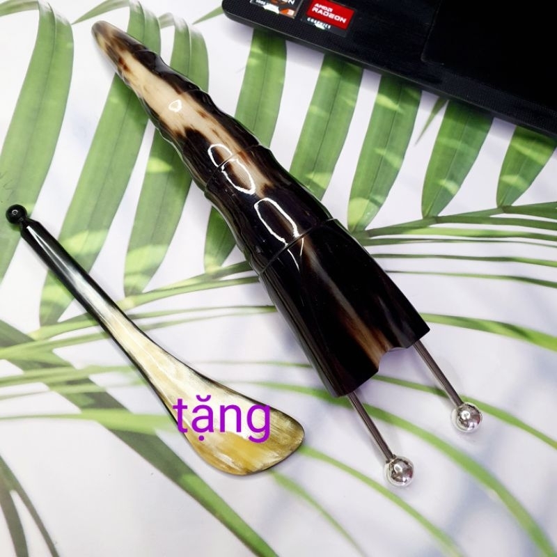 bọ cạp sừng đôi trung bạc 10ly