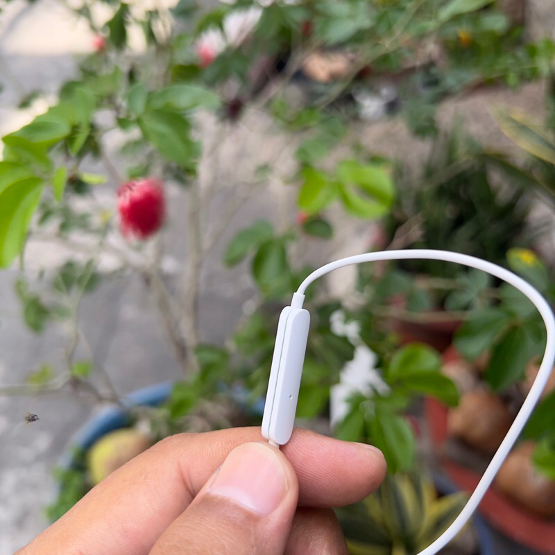 Tai nghe oppo chân type-c