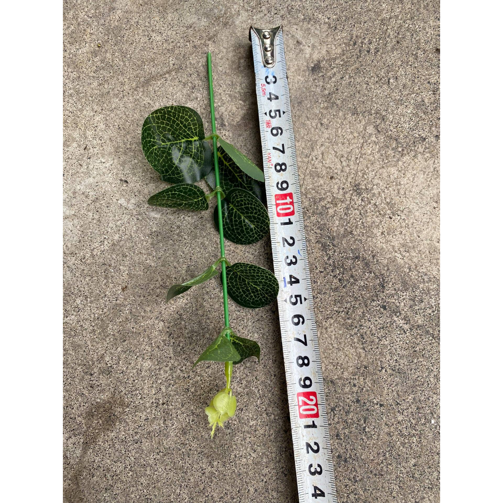 Lá táo giả, màu đẹp, không rụng. Dùng cắm hoa sáp bình hoa ☘🌿