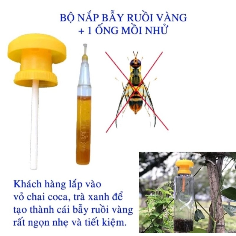 Bộ bắt ruồi vàng bảo vệ cây trồng