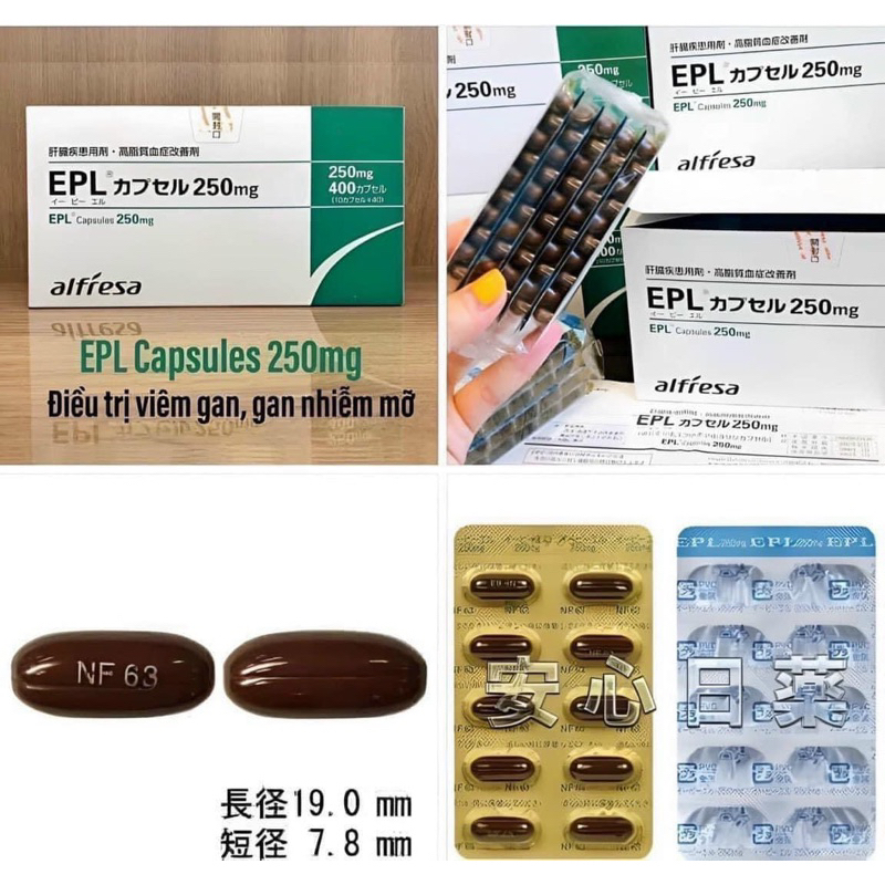 "Date 5/2025" Viên uống hỗ trợ giảm mỡ máu cao, gan nhiễm mỡ EPL CAPSULES 250MG
