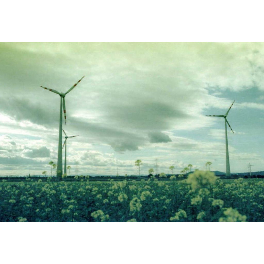 Phim KONO! Monsoon ISO 200, Màu Color, 135/35mm x 36 Kiểu, In Date Cho Máy Chụp Ảnh Film - LIIQ Flash