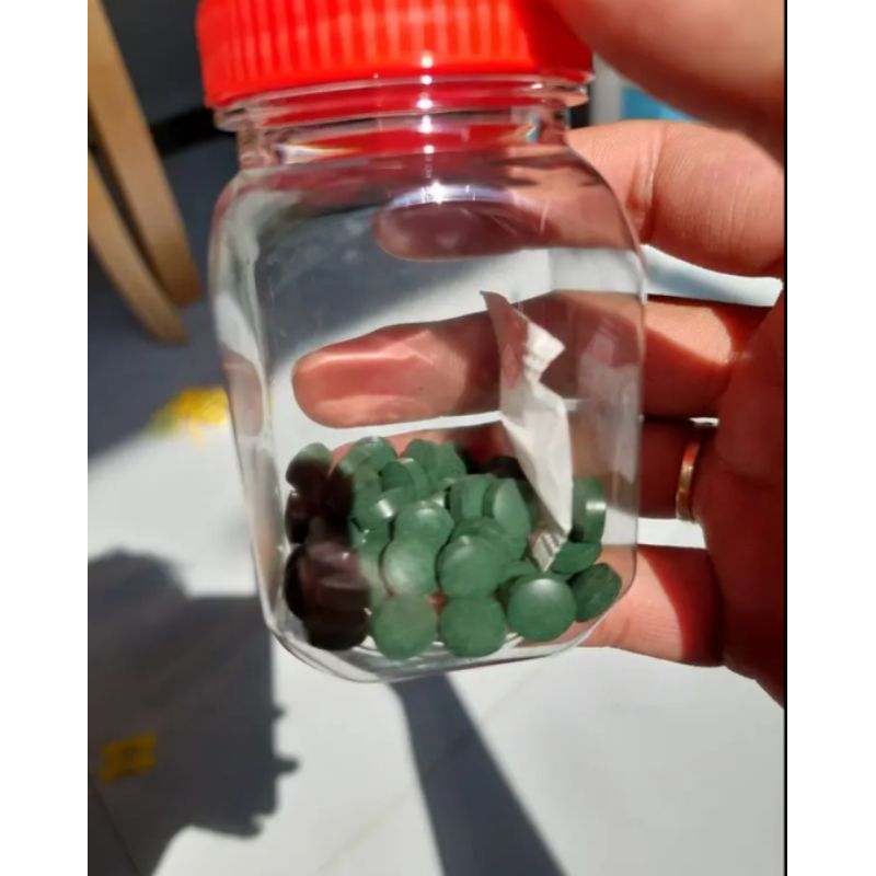 Tảo viên cho cá guppy ~50 viên