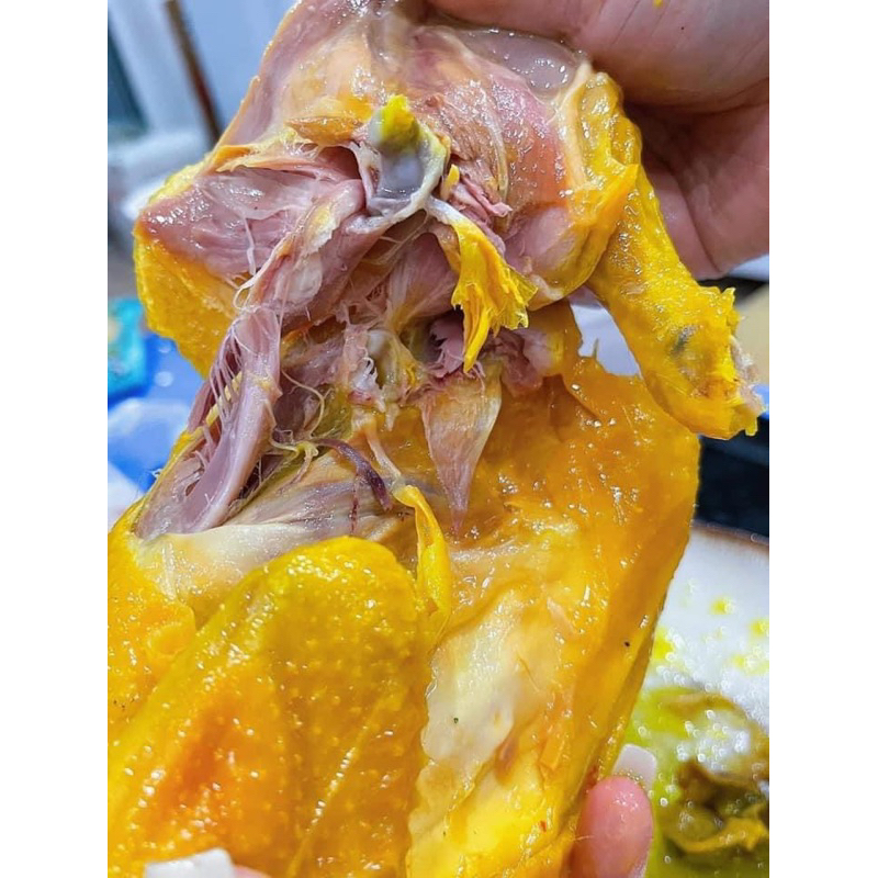 Gà ri ủ muối nguyên con