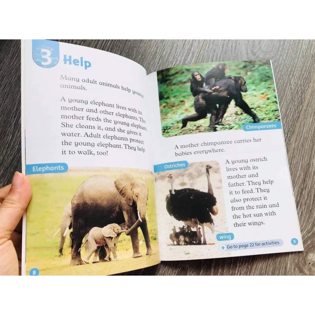 Sách -  Oxford read and discover/Imagine