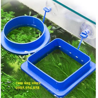 Vòng cho cá ăn- dụng cụ giữ thức ăn cho cá- vòng vuông tròn- khay giữ thức ăn