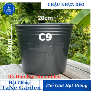 Chậu nhựa C9 đen trồng cây, trồng rau, chậu trồng hoa Vạn Thọ TẾT