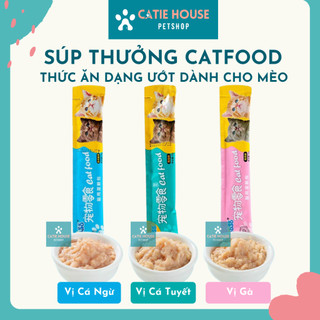 [Giao ngay Nowship/Grab] Súp thưởng Cat Food cho mèo - Súp thưởng cho mèo Cat Food 15g