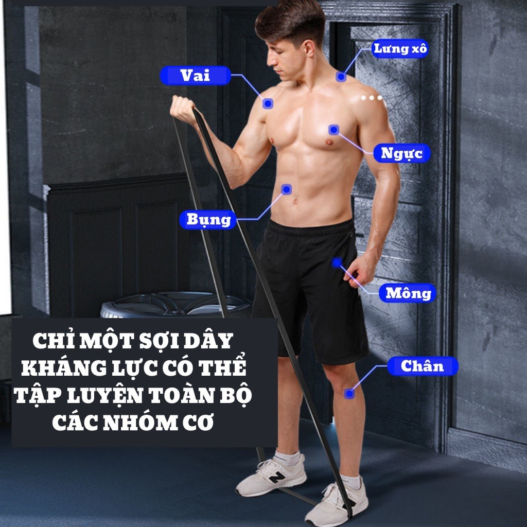 Dây kháng lực tập gym power band đàn hồi cao su tập tay chân mông vai đùi nam nữ - đàn hồi trợ lực kéo xà đơn - dododios
