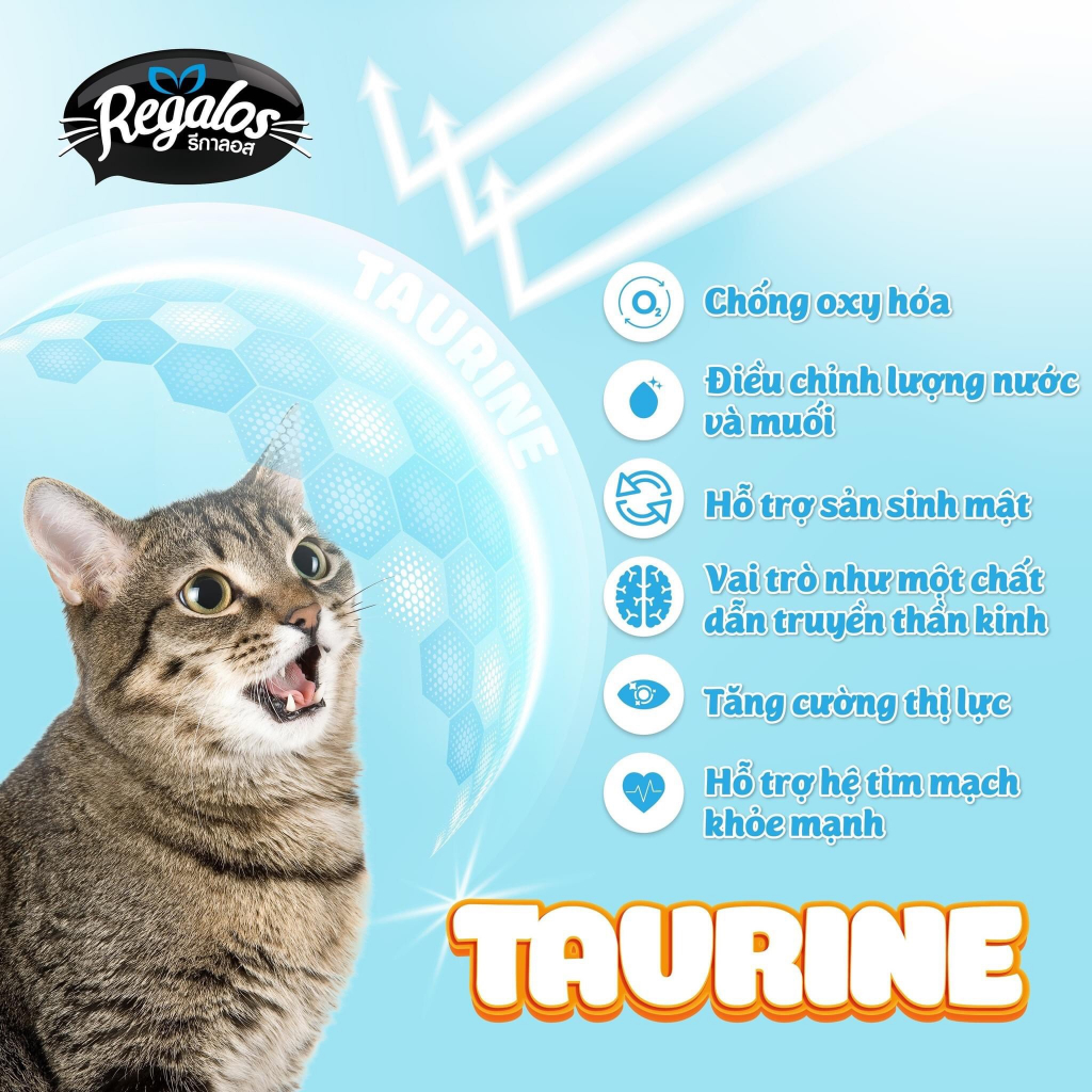 Pate Regalos Cho Mèo Chính Hãng Đủ Vị 70g