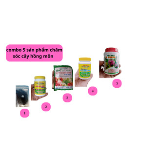 Bộ combo chăm sóc cây hồng môn