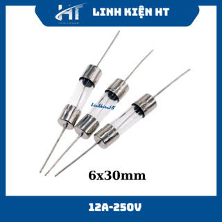 Cầu chì thủy tinh 12A 250V 6x30mm hàn chân chất lượng tốt - LinhkienHT